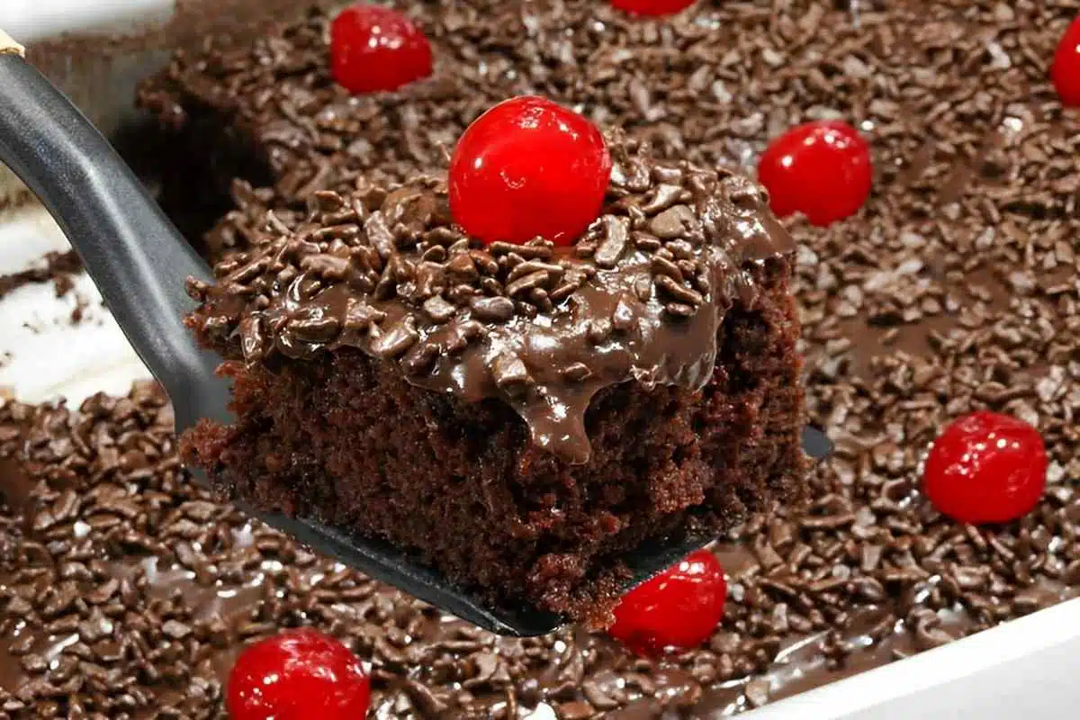 Bolo de chocolate floresta negra, você vai amar fazer esse bolo, vem ver